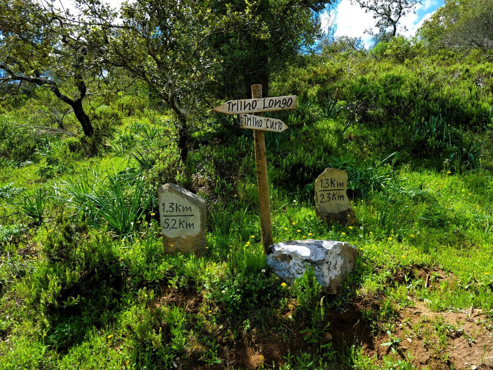 Affittacamere Monte Do Alento - Castro Da Cola Alcaria  Esterno foto