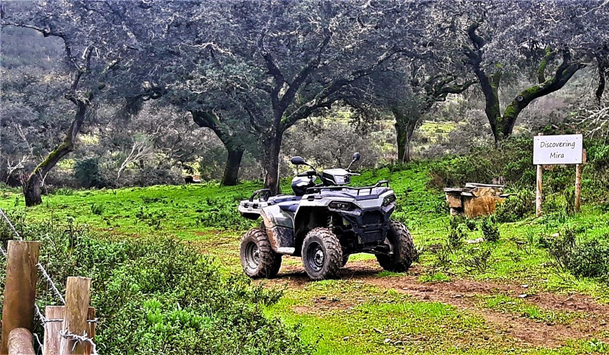 Affittacamere Monte Do Alento - Castro Da Cola Alcaria  Esterno foto
